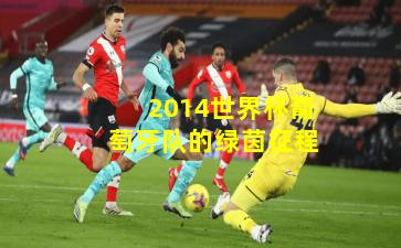 2014世界杯葡萄牙队的绿茵征程