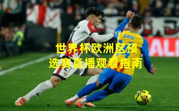 世界杯欧洲区预选赛直播观看指南